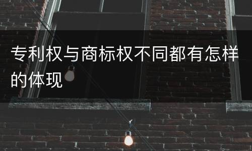 专利权与商标权不同都有怎样的体现