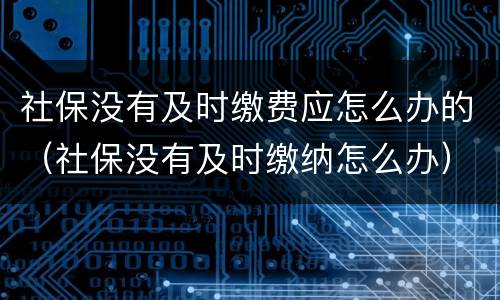 社保没有及时缴费应怎么办的（社保没有及时缴纳怎么办）