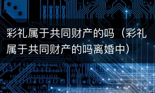 彩礼属于共同财产的吗（彩礼属于共同财产的吗离婚中）