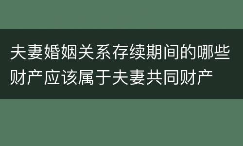 夫妻婚姻关系存续期间的哪些财产应该属于夫妻共同财产