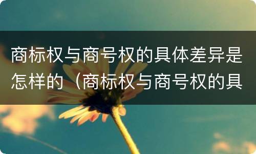 商标权与商号权的具体差异是怎样的（商标权与商号权的具体差异是怎样的现象）