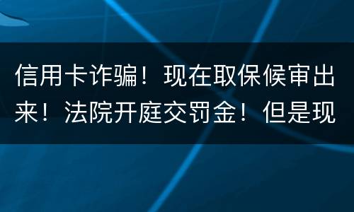 信用卡诈骗！现在取保候审出来！法院开庭交罚金！但是现在没钱交！法院会让收监吗