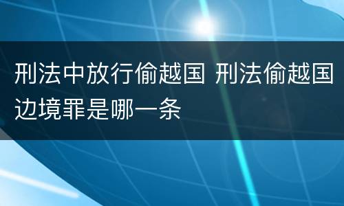 刑法中放行偷越国 刑法偷越国边境罪是哪一条