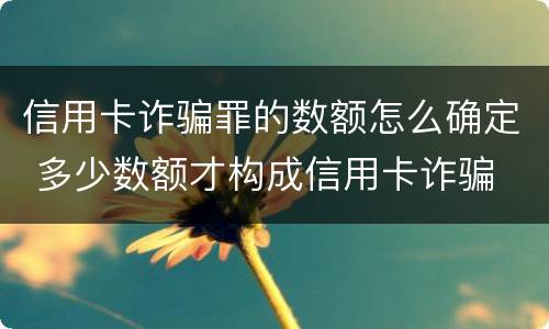 信用卡诈骗罪的数额怎么确定 多少数额才构成信用卡诈骗