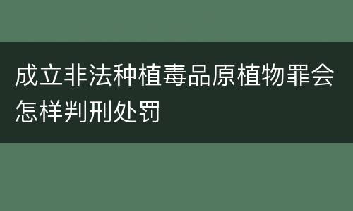 成立非法种植毒品原植物罪会怎样判刑处罚