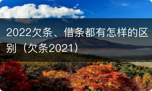 2022欠条、借条都有怎样的区别（欠条2021）