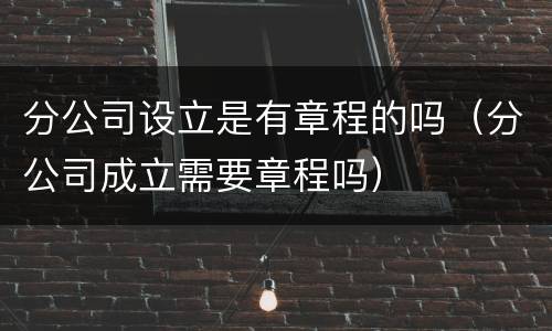 分公司设立是有章程的吗（分公司成立需要章程吗）