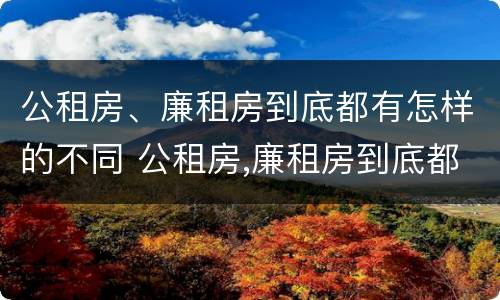 公租房、廉租房到底都有怎样的不同 公租房,廉租房到底都有怎样的不同区别