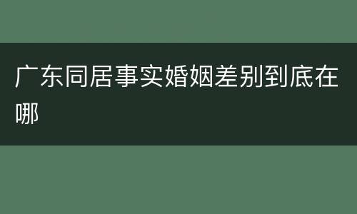 广东同居事实婚姻差别到底在哪