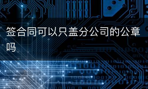 签合同可以只盖分公司的公章吗