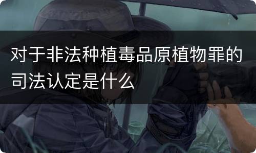 对于非法种植毒品原植物罪的司法认定是什么