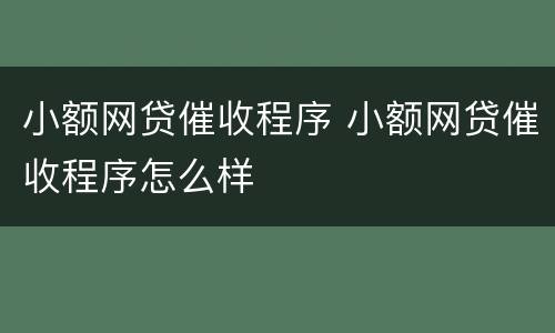 小额网贷催收程序 小额网贷催收程序怎么样