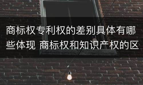 商标权专利权的差别具体有哪些体现 商标权和知识产权的区别