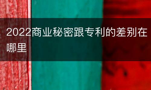 2022商业秘密跟专利的差别在哪里