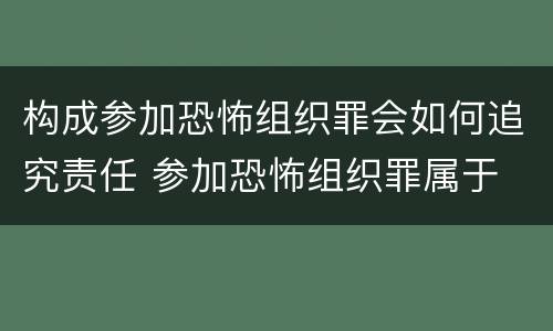 构成参加恐怖组织罪会如何追究责任 参加恐怖组织罪属于