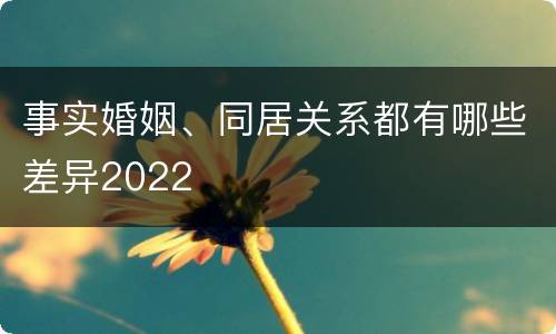 事实婚姻、同居关系都有哪些差异2022