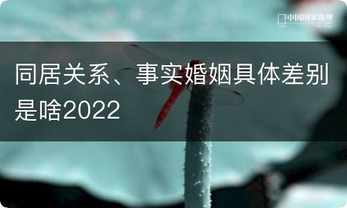 同居关系、事实婚姻具体差别是啥2022