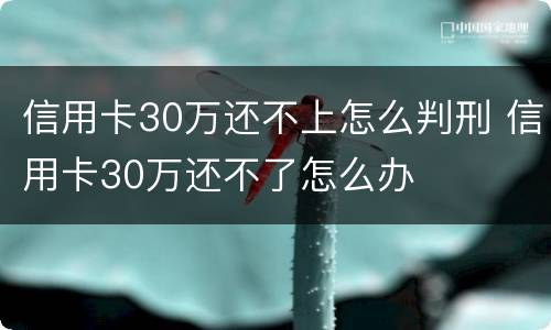 信用卡30万还不上怎么判刑 信用卡30万还不了怎么办