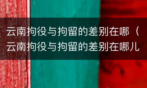 云南拘役与拘留的差别在哪（云南拘役与拘留的差别在哪儿）