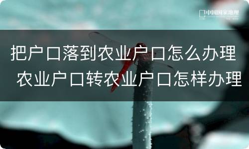 把户口落到农业户口怎么办理 农业户口转农业户口怎样办理