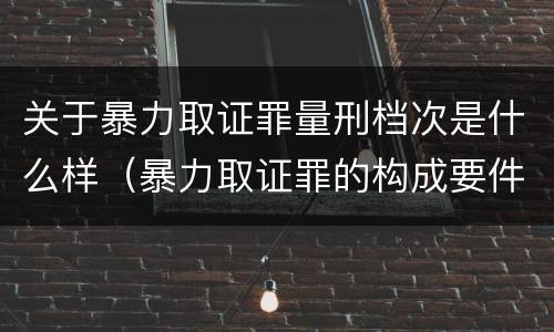 关于暴力取证罪量刑档次是什么样（暴力取证罪的构成要件）