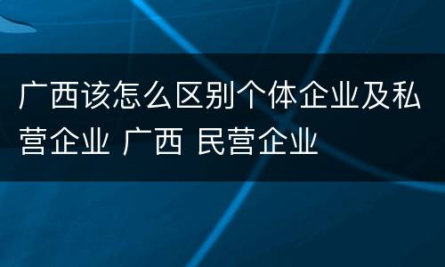 广西该怎么区别个体企业及私营企业 广西 民营企业