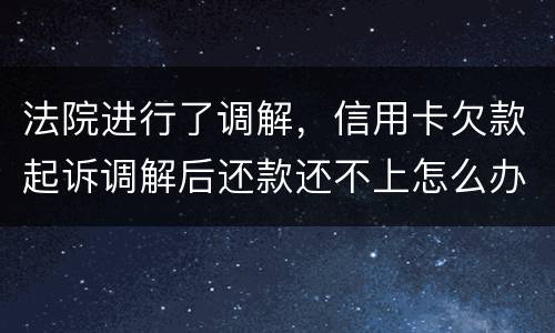 法院进行了调解，信用卡欠款起诉调解后还款还不上怎么办