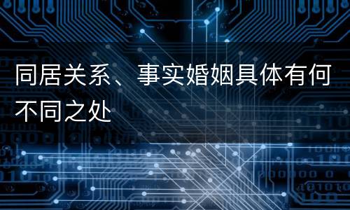 同居关系、事实婚姻具体有何不同之处