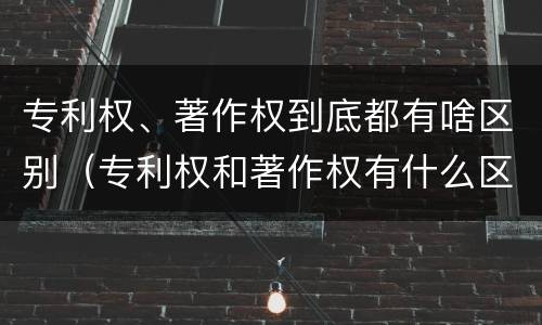 专利权、著作权到底都有啥区别（专利权和著作权有什么区别）