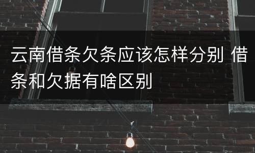 云南借条欠条应该怎样分别 借条和欠据有啥区别