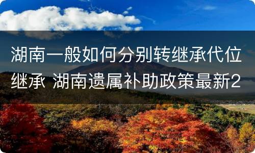 湖南一般如何分别转继承代位继承 湖南遗属补助政策最新2021