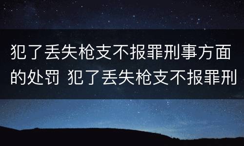 犯了丢失枪支不报罪刑事方面的处罚 犯了丢失枪支不报罪刑事方面的处罚决定书