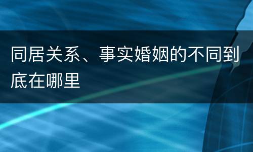 同居关系、事实婚姻的不同到底在哪里