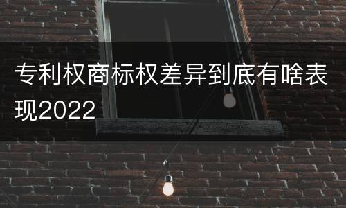 专利权商标权差异到底有啥表现2022