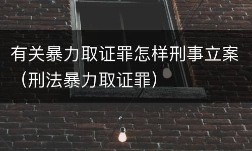 有关暴力取证罪怎样刑事立案（刑法暴力取证罪）