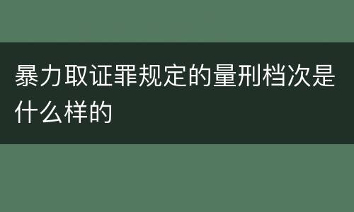 暴力取证罪规定的量刑档次是什么样的