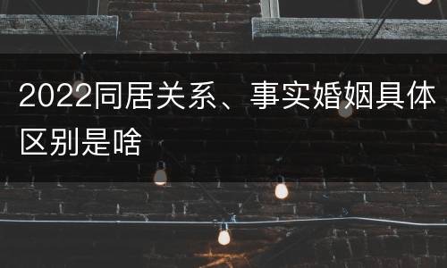 2022同居关系、事实婚姻具体区别是啥