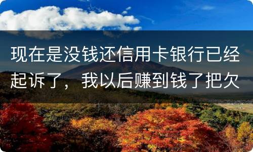 现在是没钱还信用卡银行已经起诉了，我以后赚到钱了把欠款还了案件是否会撤销