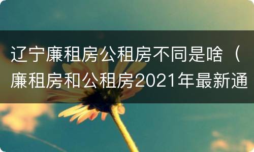 辽宁廉租房公租房不同是啥（廉租房和公租房2021年最新通知）