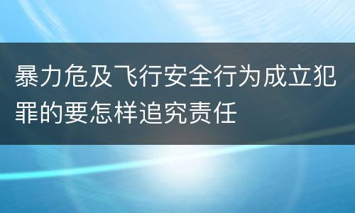 暴力危及飞行安全行为成立犯罪的要怎样追究责任