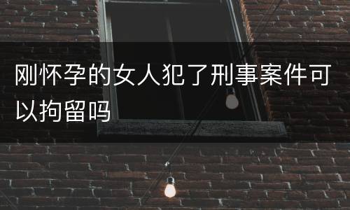 刚怀孕的女人犯了刑事案件可以拘留吗