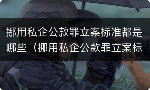 挪用私企公款罪立案标准都是哪些（挪用私企公款罪立案标准都是哪些法律）