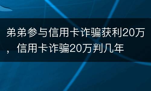 弟弟参与信用卡诈骗获利20万，信用卡诈骗20万判几年