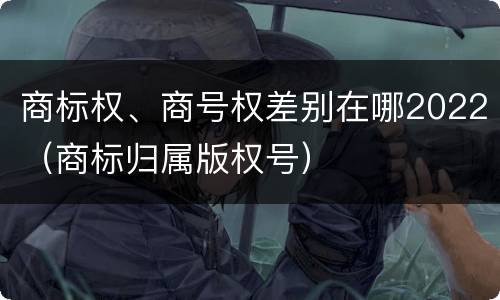 商标权、商号权差别在哪2022（商标归属版权号）