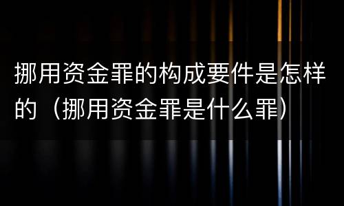 挪用资金罪的构成要件是怎样的（挪用资金罪是什么罪）