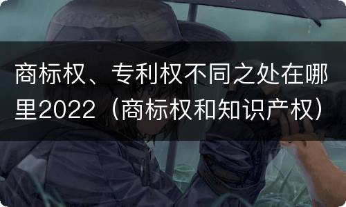 商标权、专利权不同之处在哪里2022（商标权和知识产权）