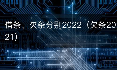 借条、欠条分别2022（欠条2021）