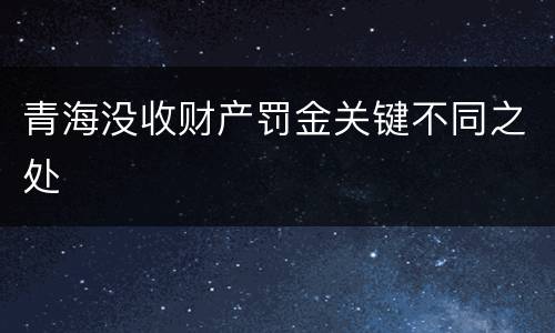 青海没收财产罚金关键不同之处