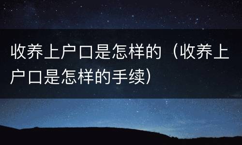 收养上户口是怎样的（收养上户口是怎样的手续）