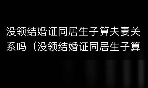 没领结婚证同居生子算夫妻关系吗（没领结婚证同居生子算夫妻关系吗）